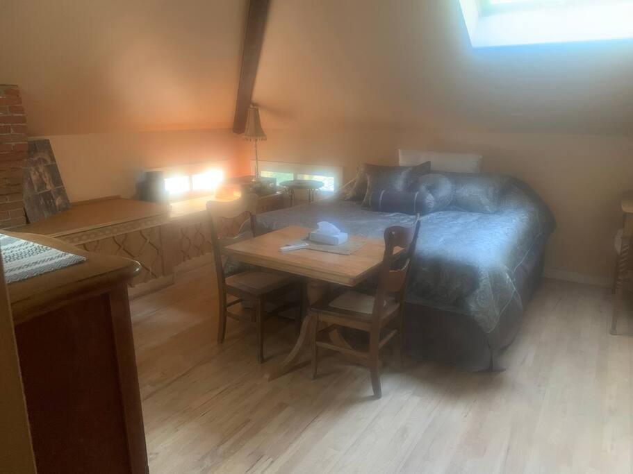 Merry Mansion East Dubuque エクステリア 写真